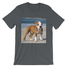 Dog t-shirt