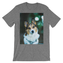 Corgi t-shirt