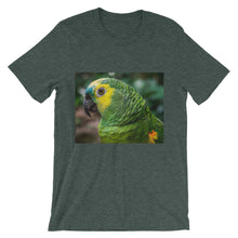 Macaw t-shirt