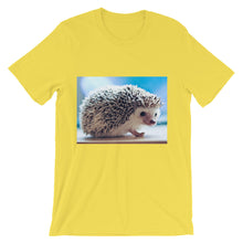 Hedgehog t-shirt