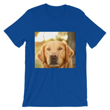 Dog t-shirt