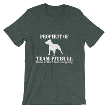 Property of Team Pitbull t-shirt