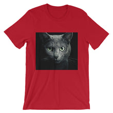 Cat t-shirt