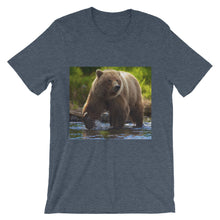 Bear t-shirt