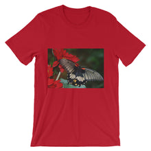Butterfly t-shirt
