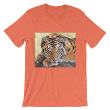 Tiger t-shirt