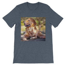 Dog t-shirt