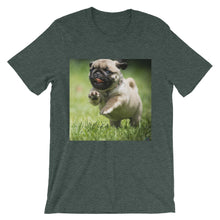 Pug t-shirt