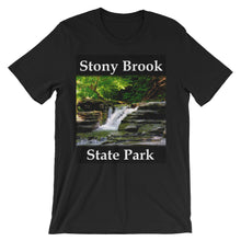 Stony Brook t-shirt