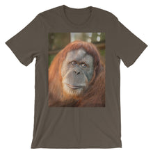 Endangered Species t-shirt