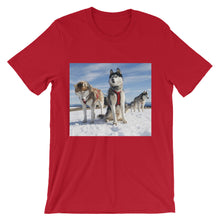 Huskies t-shirt