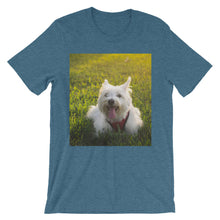 Dog t-shirt
