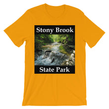 Stony Brook t-shirt