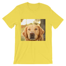 Dog t-shirt
