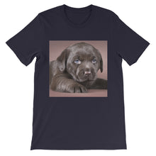 Puppy t-shirt