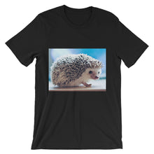 Hedgehog t-shirt