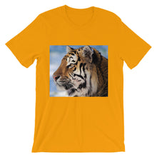 Tiger t-shirt