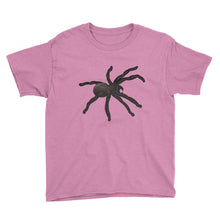 Spider Youth Short Sleeve T-Shirt
