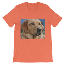 Dog t-shirt