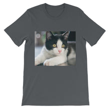 Kitten t-shirt