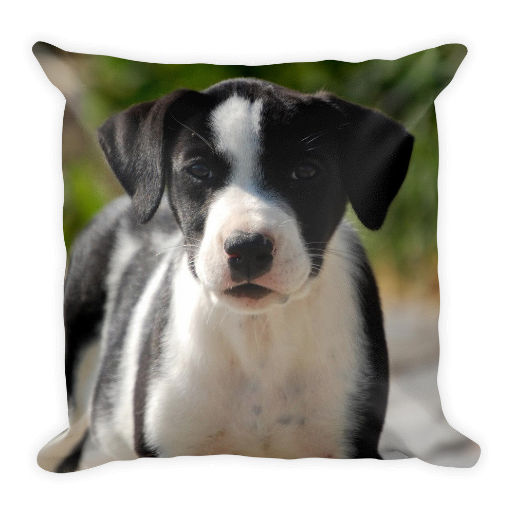 Puppy Pillow