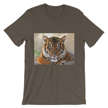 Tiger t-shirt