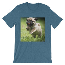 Pug t-shirt