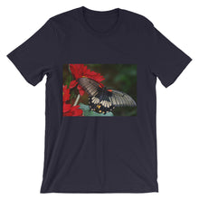 Butterfly t-shirt