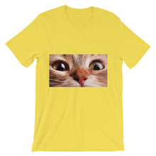 Cat t-shirt