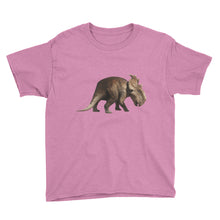 Dinosaur Youth Short Sleeve T-Shirt