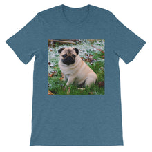 Pug t-shirt