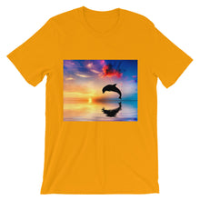 Dolphin t-shirt