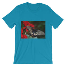 Butterfly t-shirt