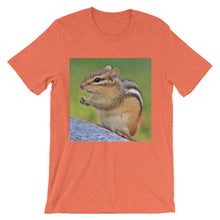 Chipmunk t-shirt
