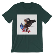 American Eagle t-shirt