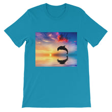 Dolphin t-shirt