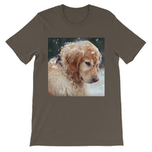Dog t-shirt