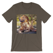 Dog t-shirt