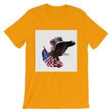American Eagle t-shirt