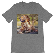 Dog t-shirt