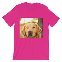 Dog t-shirt