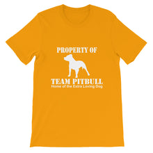 Property of Team Pitbull t-shirt