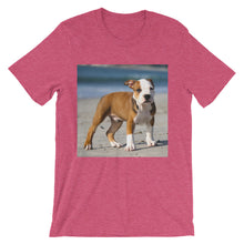 Dog t-shirt