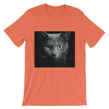Cat t-shirt