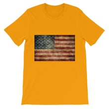 Antique American Flag t-shirt