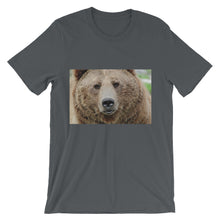Bear t-shirt