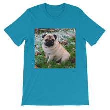 Pug t-shirt
