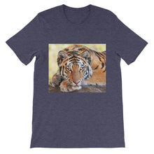 Tiger t-shirt