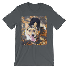 Corgi t-shirt