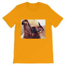 Dog with glasses t-shirt